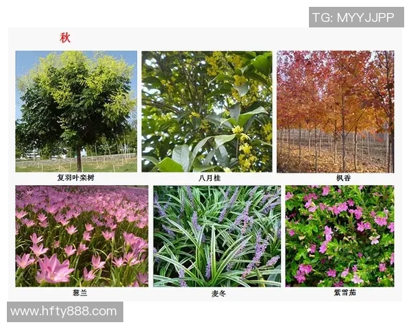 化工产业创新发展趋势与绿色可持续技术应用探讨