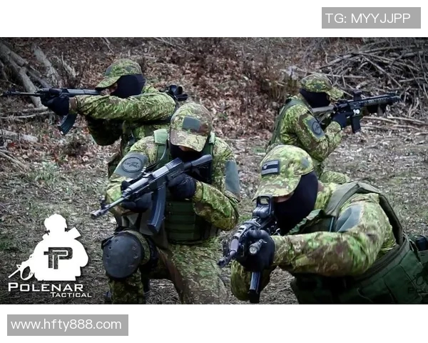 深入分析BLG战队的进攻策略与战术特点探讨